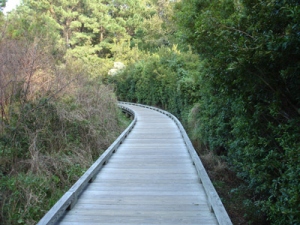 Hilton Head running trail